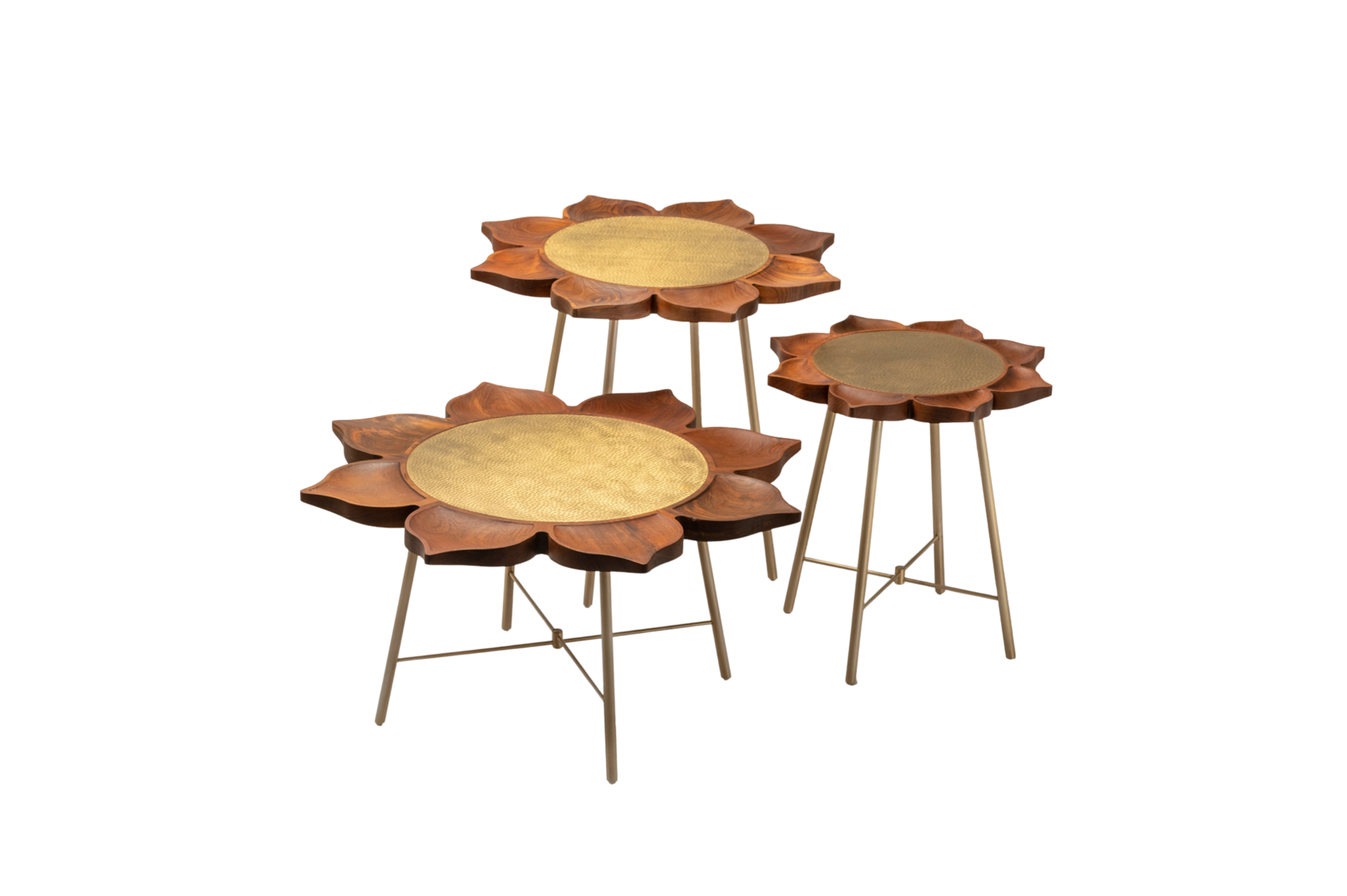 Pamposh Center Table